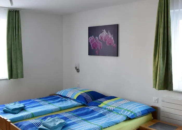 Haus Amasaas * Saas Fee